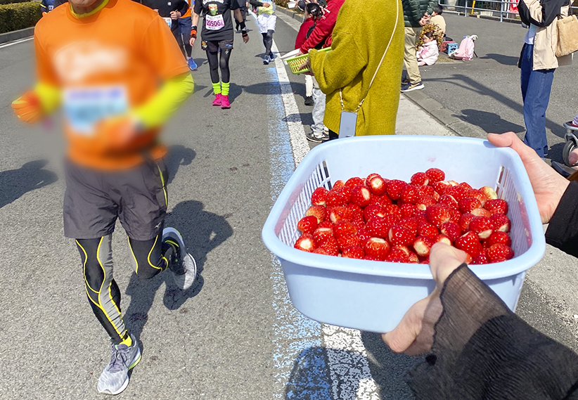 愛媛マラソンを応援